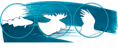 Experience Flatanger